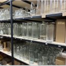 샤론플라워