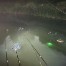 개나리낚시공원 이미지