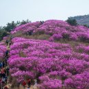 영취산 뉴스1