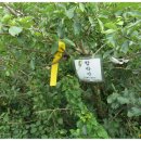 대광해수욕장 이미지