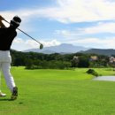 윈윈스크린골프 이미지