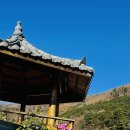 앵지밭골 이미지