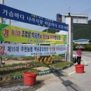 대가주천 이미지