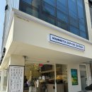 매머드커피 신메뉴 말차 클래식 라떼/핑크블라썸 말차라떼/말차 골든 살구 블랙티