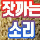 "대통령 겪은 고초 제책임"..'조폭연루설'논평낸 전국힘 부대변인 고개 숙였다 이미지