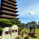 지아컴퍼니 | 황룡원 결혼식] 이게 정말 내 결혼식이라고? 경주 최고의 결혼식장 황룡원 (with.웨딩홈컴퍼니) 내돈내산