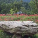 대산초등학교 이미지