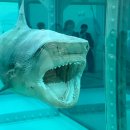 [유투공] 미술이야기 | 데미안 허스트 전시 국립현대미술관 조금은 불편한 현대미술