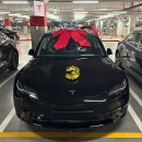 원랜드1 | 테슬라 모델3 하이랜드 1주년 후기