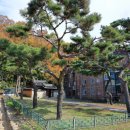 선산단계주차장 이미지