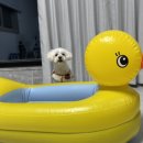 사계에반하다 2 이미지