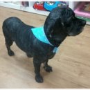 똘이's 하우스 이미지