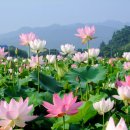 박*상 - 미추홀구 경원대로780번길 22 | 박*상