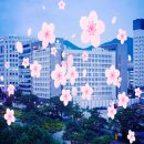 봄 호텔 | 창원 봄 여행 필수｜그랜드시티호텔 봄 시즌 조식 후기