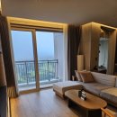 소노펠리체 델피노 이미지