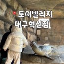 코끼리 키즈짐 | 대구 아이랑 실내 동물원 토이빌리지 동물체험과 키즈카페까지 한 곳에서 해결해요