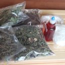 나눔한방허브 이미지