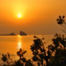 유채꽃향기처럼 이미지