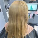 신비헤어 | 의정부미용실 탈색모 톤다운 염색 후기✨ 헤어신비롬