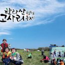 제주 중산간 들녘에 고사리 향연이 펼쳐지다 - 한라산 청정 고사리축제 이미지