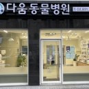영민동물병원 네이버블로그