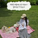 스타일독 | 애견인 데일리룩 추천 떡국누나 젤라또독 티셔츠후기