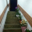 디제이다방 이미지