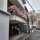 화이트래빗 | 홍대입구맛집 화이트래빗 후기 | 독특한 메뉴 구성과 세련된 분위기, 특별한 날 추천