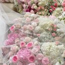 하루미 | 내돈내산 아이폰 스냅 본식 후기 [하루미 스냅]