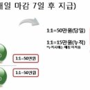 금보 이미지