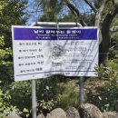 서귀동 961 | 천지연 주변 산책로, 이중섭 생가, 제주 벚꽃 명소 추천 3월 4월 봄 제주 서귀포 여행 가볼 만한 곳...