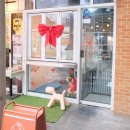 몽크의 아뜰리에 이미지