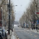 완산-146 | ♣설 연휴나기♣ | part① | 전주·종로·압구정