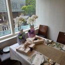 미미화분 | 서울 상견례 선물 고급진 호접란 화분 '미미의 정원' 내돈내산 후기(식당 배송 가능, 보자기 포장...