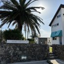 리인제주 | 제주도 사계해변 감성 독채펜션 리인 제주 스테이 2박3일 후기