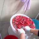 광철농장 이미지