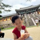 삼층빌딩 | 여름방학 경주 아이와 가볼만한곳, 불국사 석가탑 다보탑 솔직후기 요금 및 주차