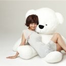 다윈스톤 이미지