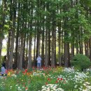 황등면-01 이미지