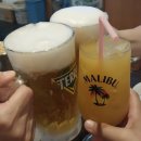 인쌩맥주혜화점 | ◇혜화역 술집 인쌩맥주 대학로점 치킨과 허니치즈호떡&아이스크림 강추 내돈내산 솔직후기