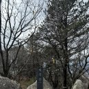 장동감나무보리밥 | 계족산 보리밥 맛집 장동감나무 보리밥 방문 후기