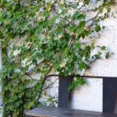 길거리아 이미지