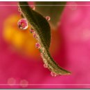 예쁜보석 이미지