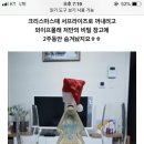 이거 마샤본 도토있어?? 이미지