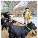 인제월명민박 이미지