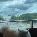 카페히릿 이미지