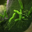 데일리의원 이미지