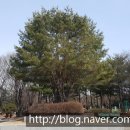 갈현동(정보과학도서관 앞) 이미지