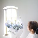 블루밍호아