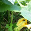 구산농장 이미지